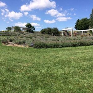 Meet your Posher, Kathaleen